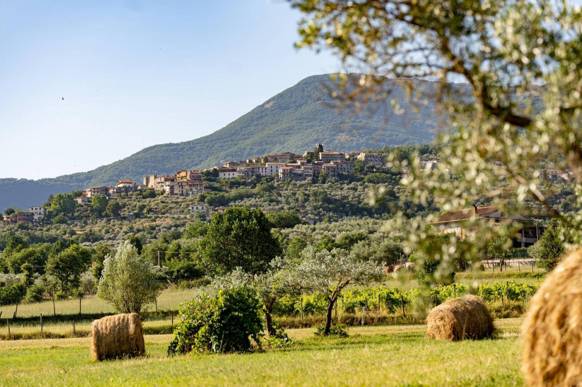B&B Vico Suites Vico nel Lazio Екстер'єр фото